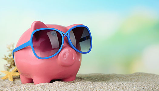 Image of a pig on a beach representing specials